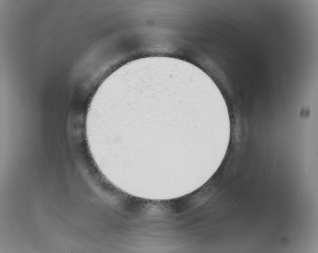 X0000111500115200908251058