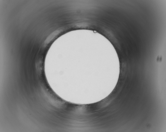 X0000111500116200908251058