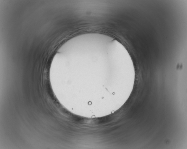 X0000111500117200908251058