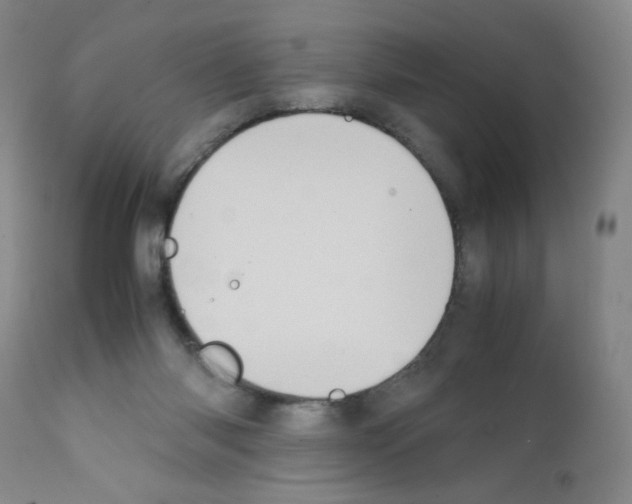 X0000111500118200908251058