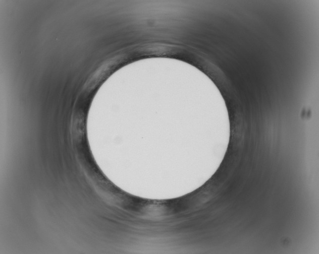 X0000111500119200908251058