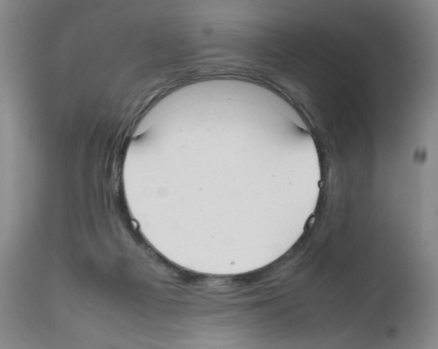 X0000111500121200908251058