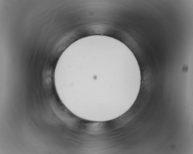 X0000111500122200908251058