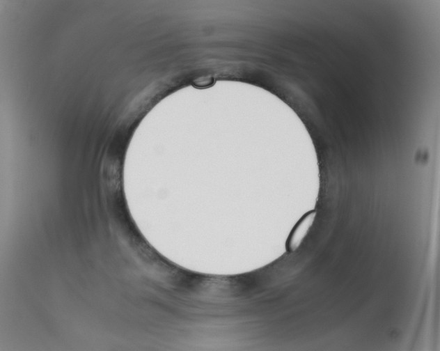 X0000111500123200908251058