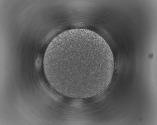 X0000111500124200908251058