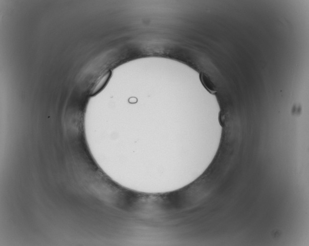 X0000111500125200908251058