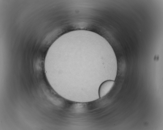 X0000111500126200908251058