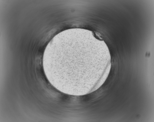 X0000111500127200908251058