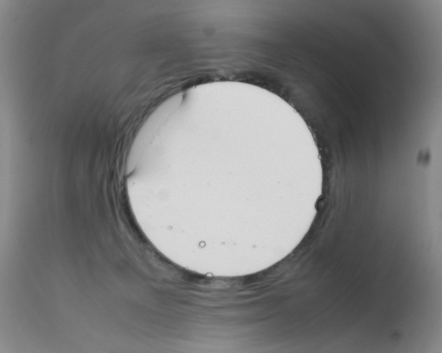 X0000111500129200908251058