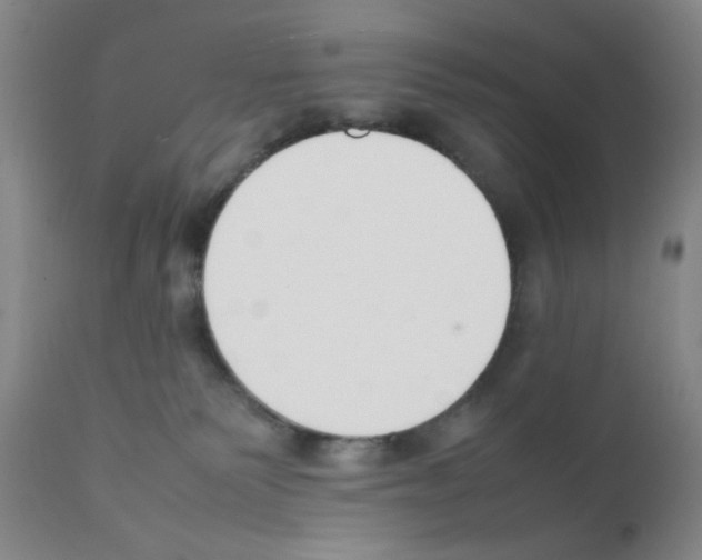 X0000111500135200908251058