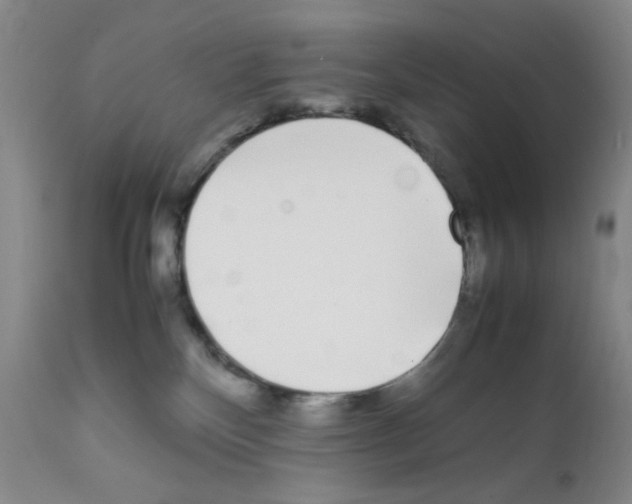 X0000111500136200908251058