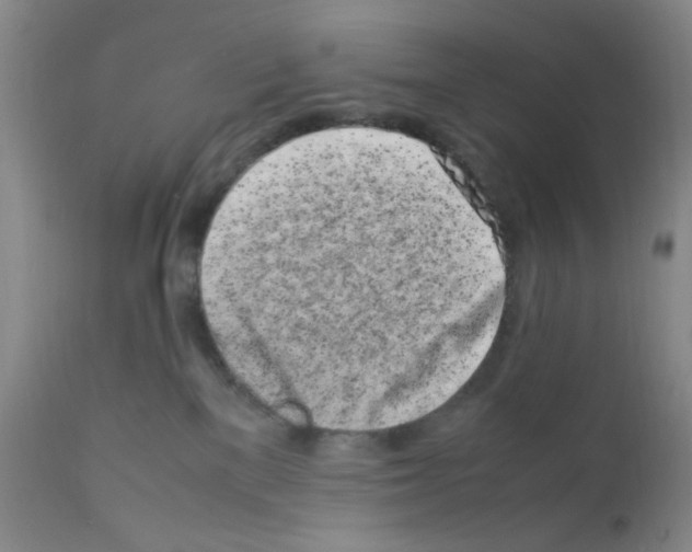 X0000111500137200908251058