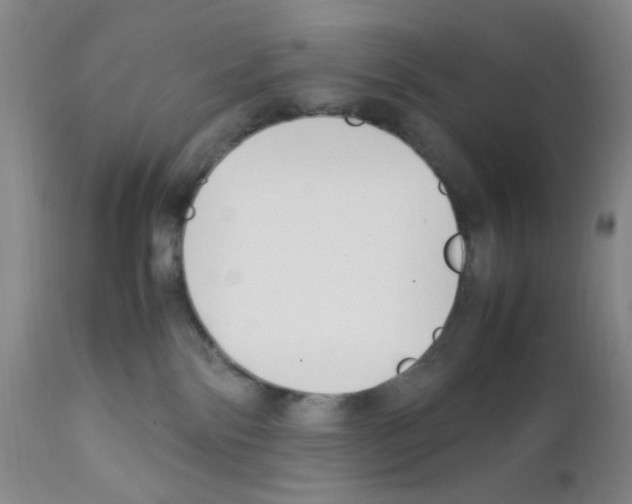 X0000111500138200908251058