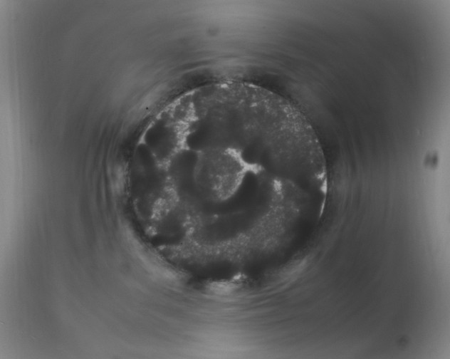 X0000111500139200908251058