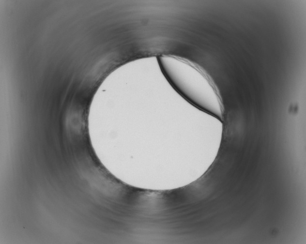 X0000111500140200908251058