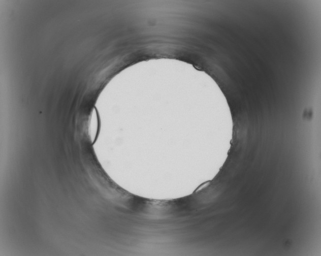 X0000111500141200908251058