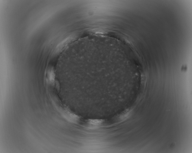 X0000111500143200908251058