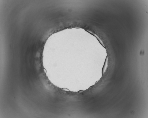 X0000111500144200908251058