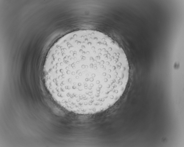 X0000111500145200908251057