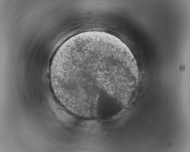 X0000111500146200908251057