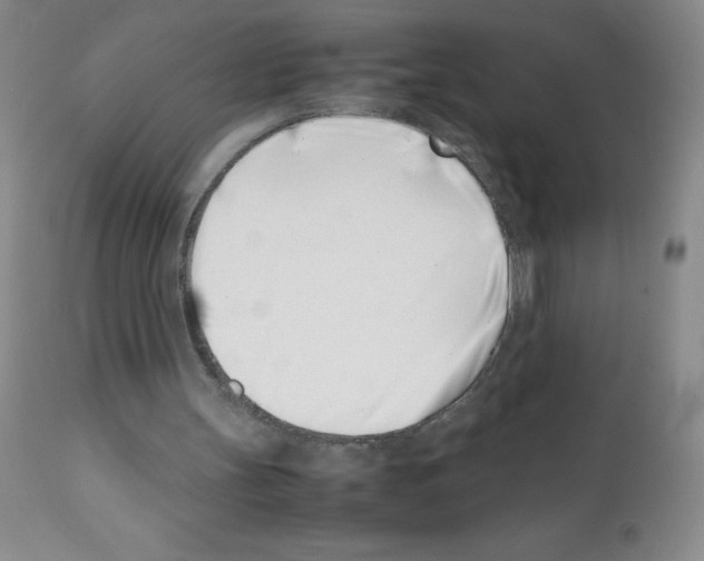 X0000111500147200908251057