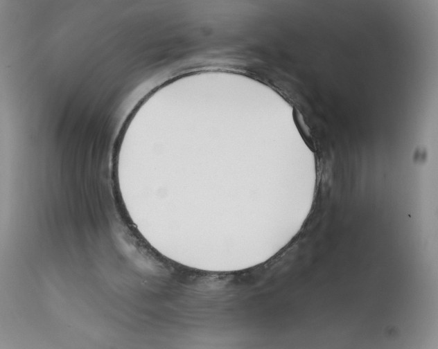 X0000111500148200908251057