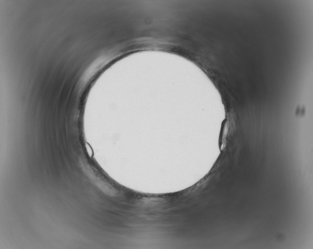 X0000111500150200908251057