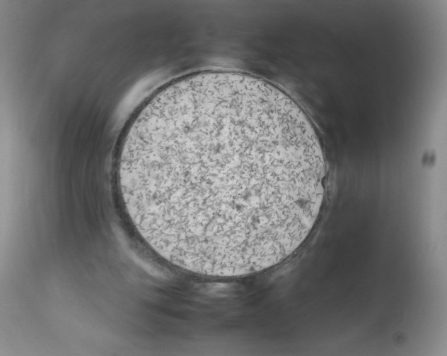 X0000111500151200908251057