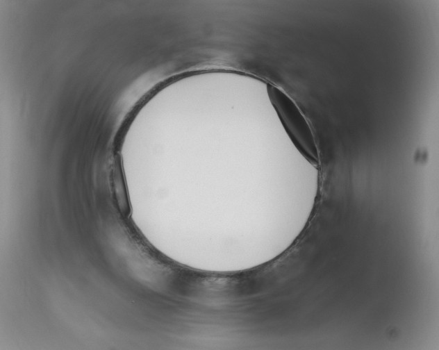 X0000111500152200908251057