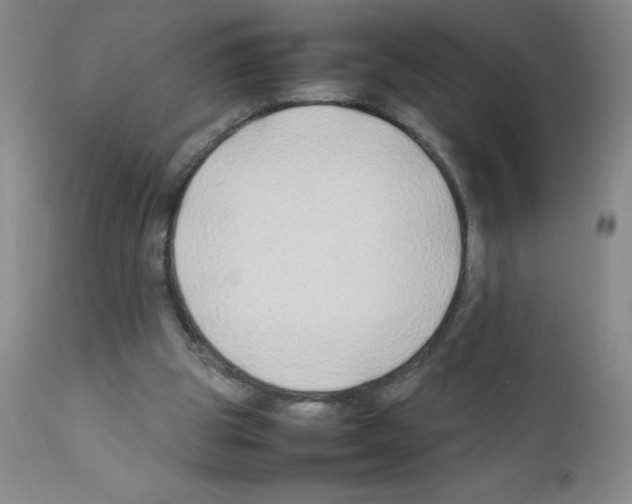 X0000111500153200908251057