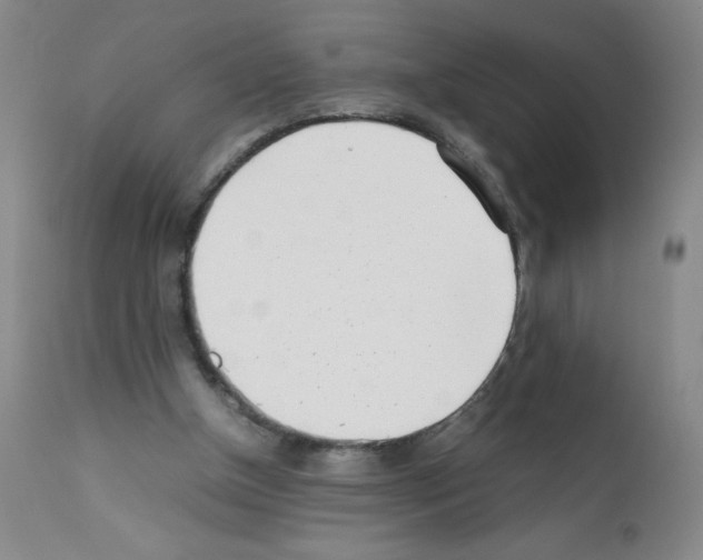 X0000111500154200908251058