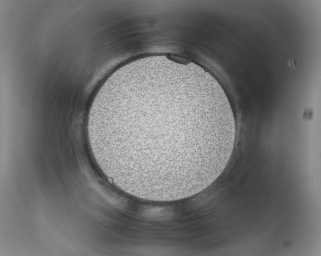 X0000111500155200908251058