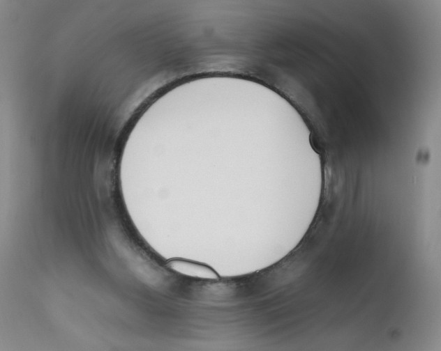 X0000111500156200908251058