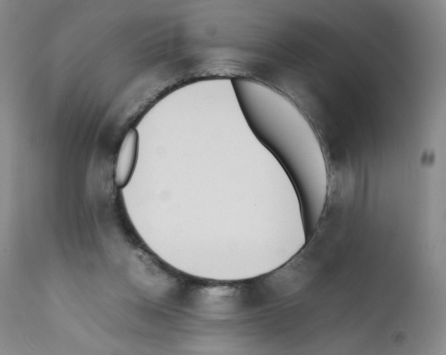 X0000111500158200908251058