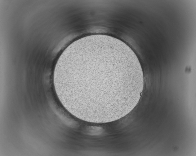 X0000111500159200908251058