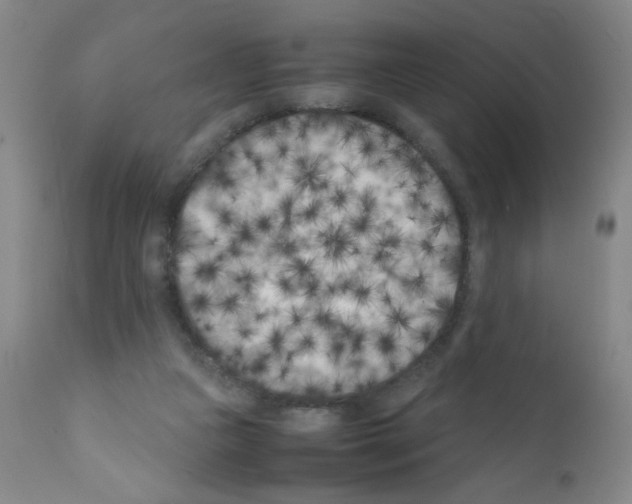 X0000111500161200908251058