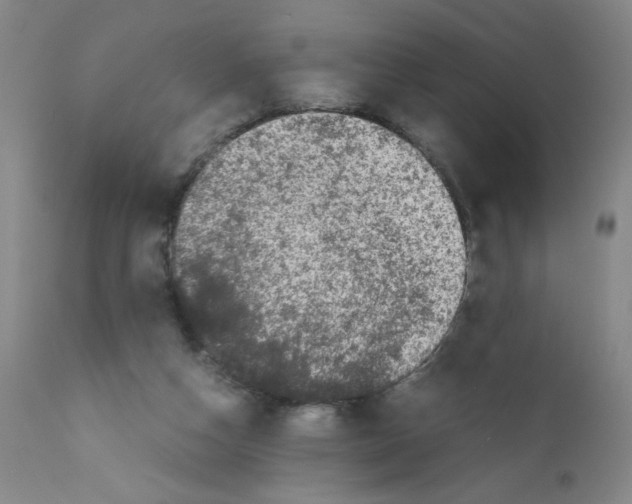 X0000111500162200908251058