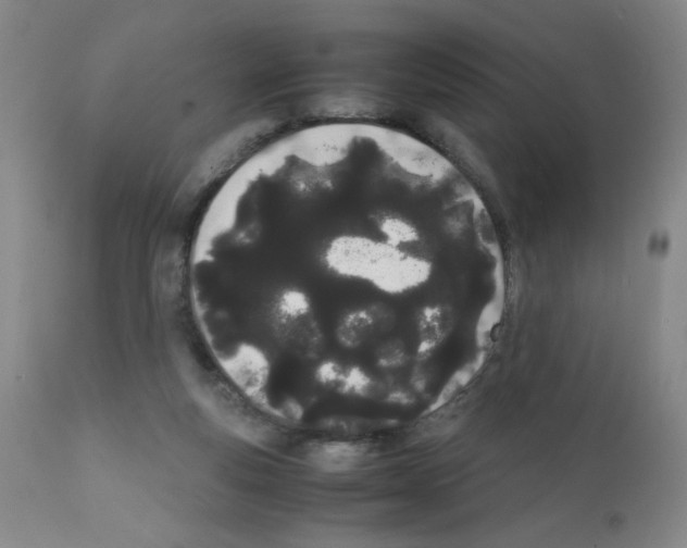 X0000111500163200908251058