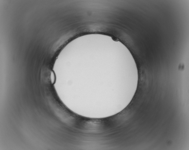 X0000111500164200908251058