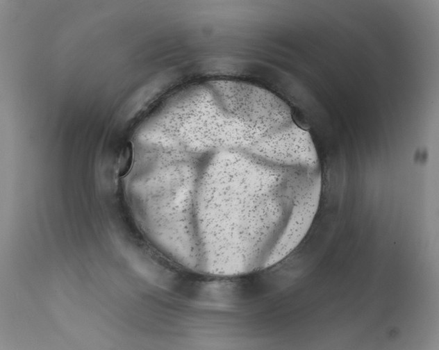 X0000111500168200908251058