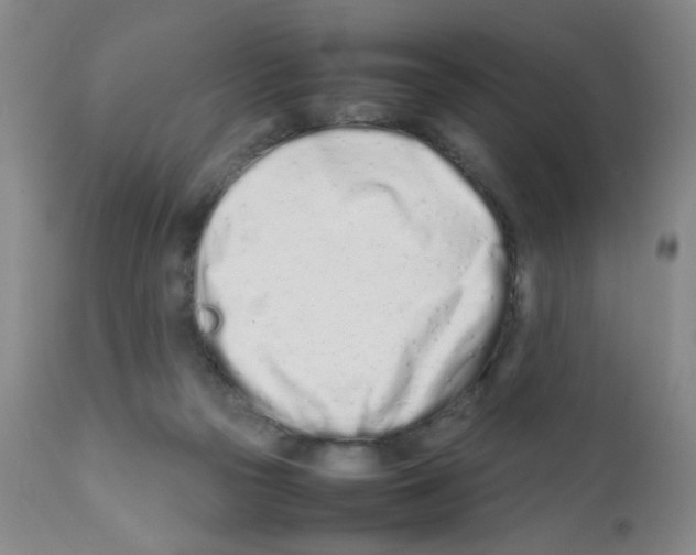 X0000111500169200908251058