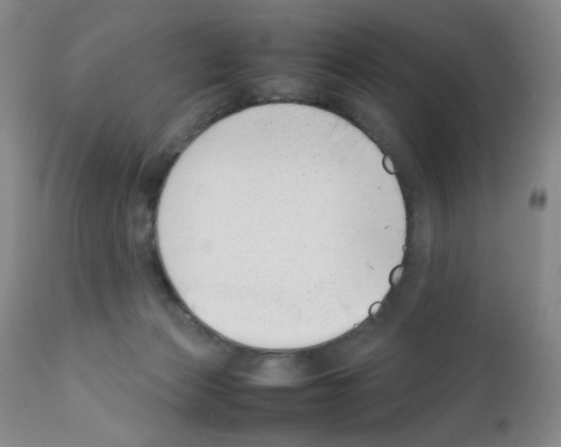 X0000111500173200908251058