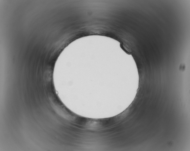 X0000111500174200908251058