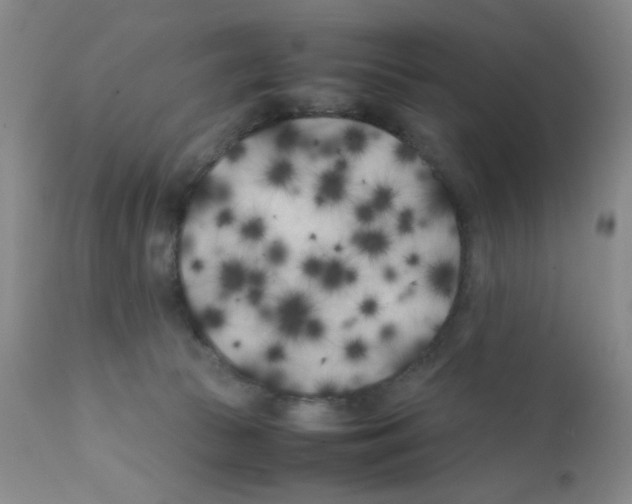 X0000111500177200908251058