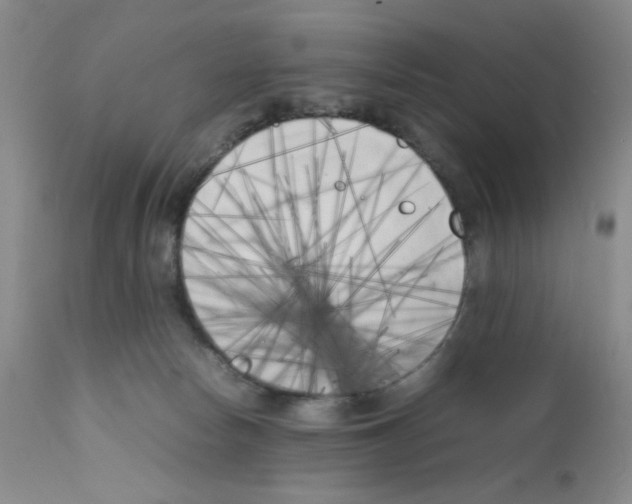 X0000111500178200908251058