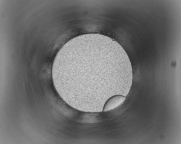 X0000111500179200908251058