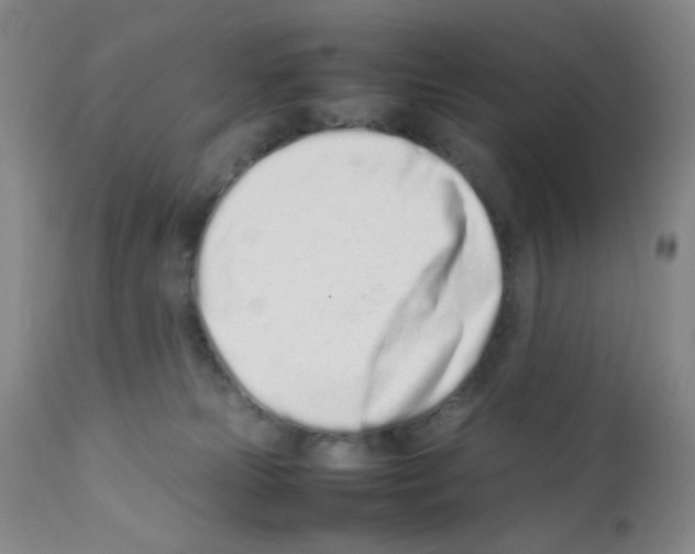 X0000111500181200908251058