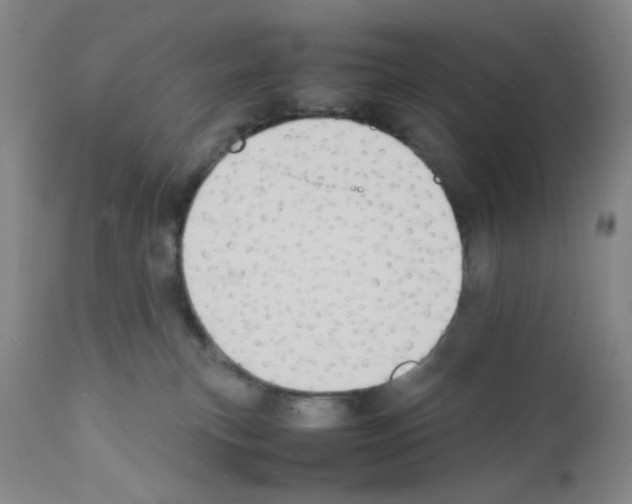 X0000111500183200908251058