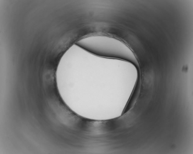 X0000111500184200908251058