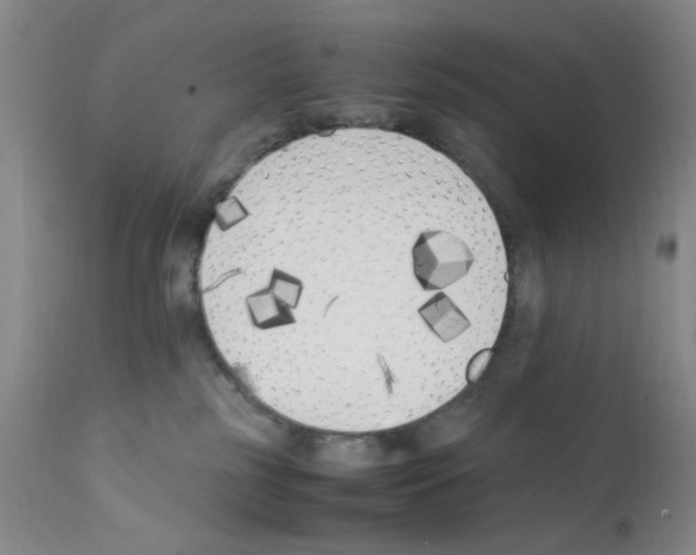 X0000111500185200908251058